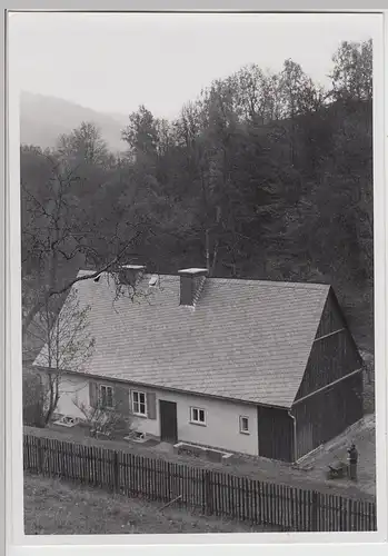 (F26500) Orig. Foto Elbrighausen, Waldarbeiter-Dienstgehöft um 1950