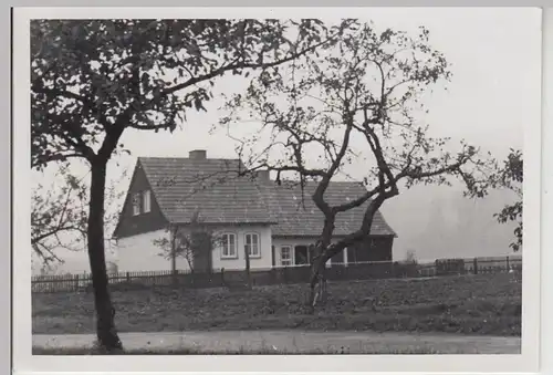 (F26496) Foto Weißehütte bei Gottstreu, neu gebautes Waldarbeiterhaus BJ 1950