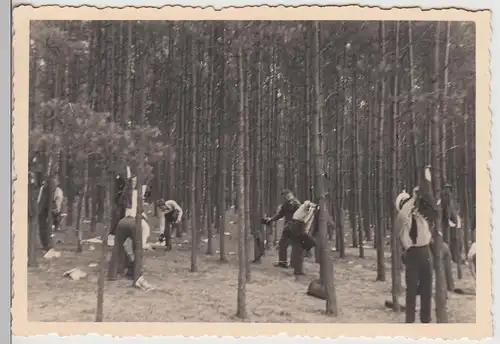 (F26409) Orig. Foto Luftwaffe Soldaten am Großsee b. Cottbus 1936