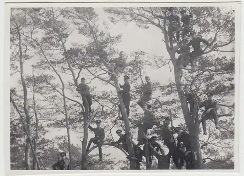 (F26332) Orig. Foto Luftwaffe-Soldaten klettern auf Bäume 1935