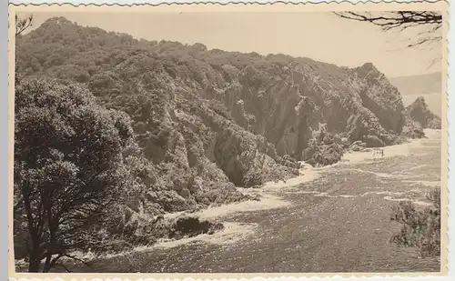 (F2628) Orig. Foto Porquerolles, Südküste, 1956