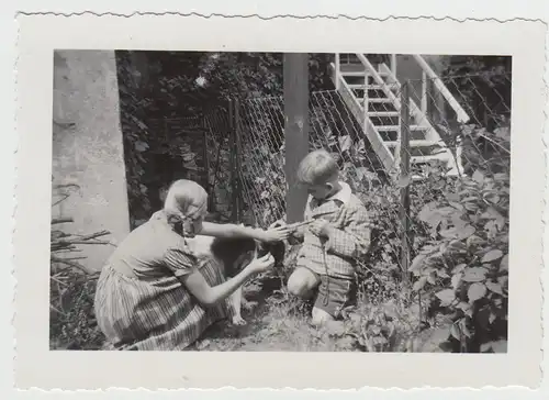 (F26176) Orig. Foto Kinder mit Hund am Zaun 1935