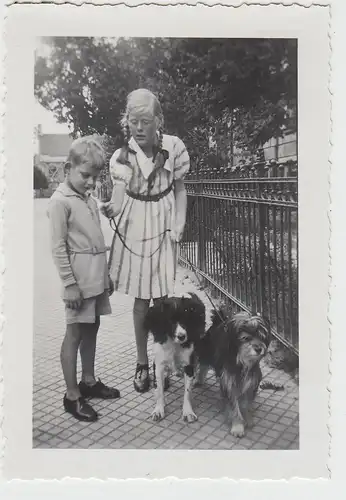 (F26174) Orig. Foto Kinder mit Hunden auf der Straße 1935