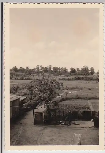 (F26058) Orig. Foto Eckernförde, Partie mit Hausgarten 1953