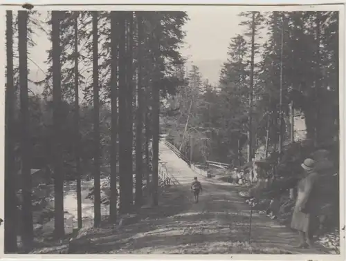 (F26014) Orig. Foto Weg zum Zackelfall 1931