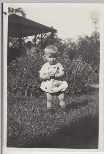 (F25985) Orig. Foto Kleinkind Jürgen Zehnpfennig im Garten 1929