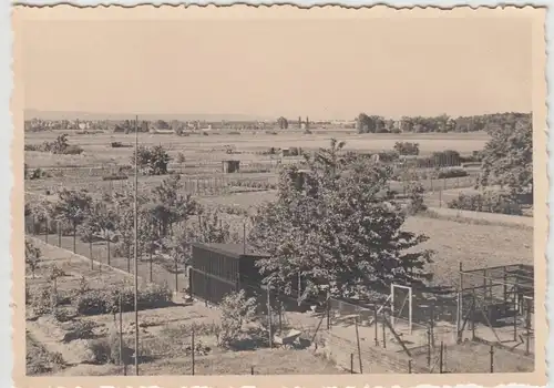 (F25456) Orig. Foto Frankfurt-Hausen, Garten a. Große Nelkenstraße 1933