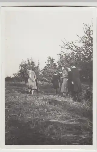 (F25390) Orig. Foto Frauen am Feldrand 1931