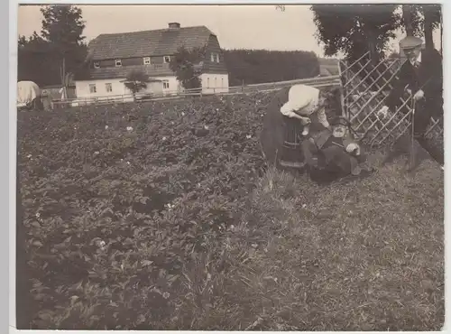 (F25324) Orig. Foto Mann liegt am Feldrand, gestürzt o. Scherzbild 1920/30er