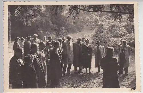 (F25315) Orig. Foto Personen im Wald, Ausflug Exkursion 1950er