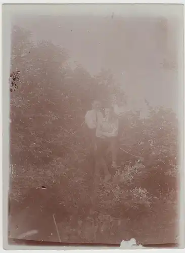 (F25193) Orig. Foto Jungs sitzen auf einem Baum 1925
