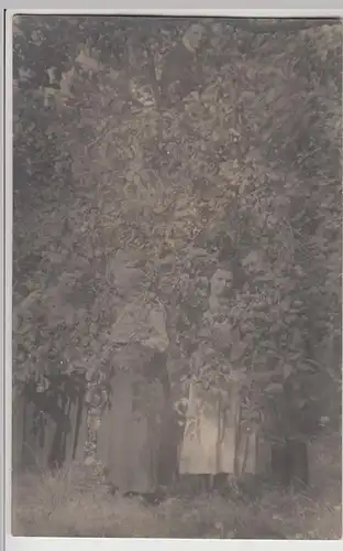 (F25166) Orig. Foto Personen im Freien, im Baum verstecken 1920er
