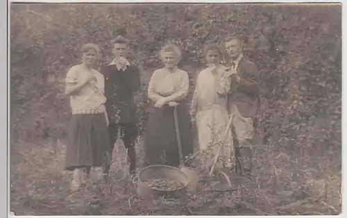 (F25164) Orig. Foto Personen im Freien, Kartoffelernte 1925