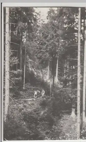 (F25098) Orig. Foto Kirnitzschtal, Wanderer 1937