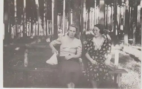(F25085) Orig. Foto Sebnitz, Frauen auf einer Bank am Wald 1937