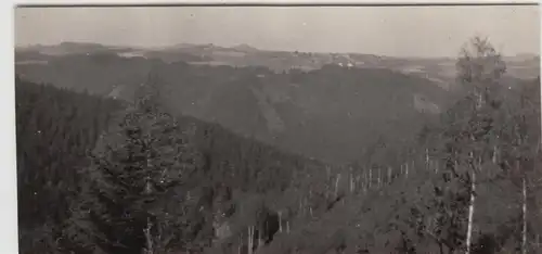 (F25059) Orig. Foto Lichtenhain (Sebnitz), Panorama 1936