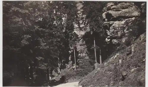 (F25053) Orig. Foto Sächsische Schweiz, Personen am Uttewalder Grund 1936