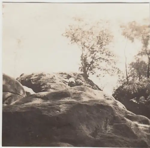 (F24999) Orig. Foto Mann klettert auf Felsen bei Wehrsdorf 1933