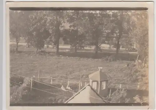 (F24852) Orig. Foto Leer, Gartenm. Häuschen a. Plytenberg 1929