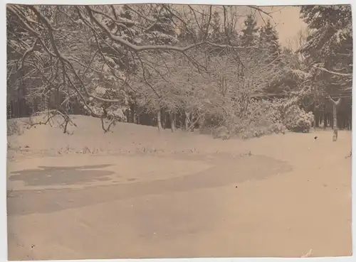 (F24798) Orig. Foto Leer im Winter, zugefrorener Teich im Julianenpark 1925