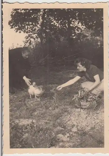 (F24778) Orig. Foto Frauen m. Gänse im Freien, Kiel Kollhorst 1941