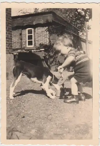 (F24753) Orig. Foto Kiel, Kind m. Hund am Wohnhaus in Kollhorst 1940