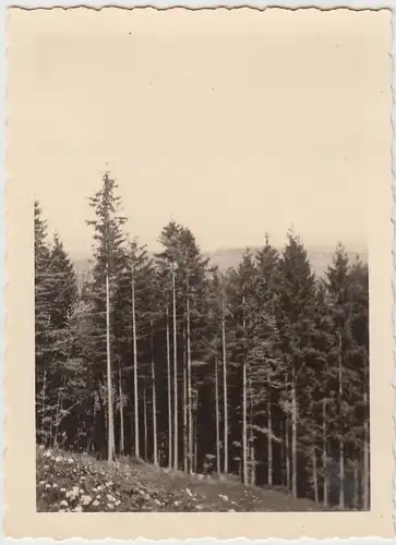 (F24680) Orig. Foto Blick vom Ravenstein a.d. Chiemsee 1938