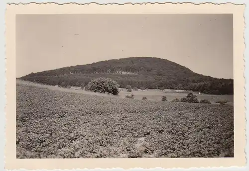 (F24633) Orig. Foto Malberg bei Montabaur 1953