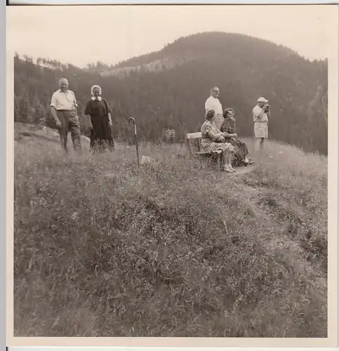 (F24614) Orig. Foto Personen wandern auf den Feldberg 1957