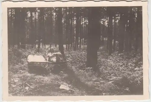 (F24581) Orig. Foto Klein Reken, mit dem Liegestuhl im Wald 1959