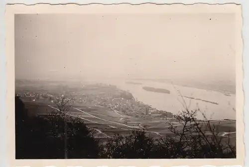 (F24560) Orig. Foto Rüdesheim, Blick vom Niederwald-Denkmal 1950er