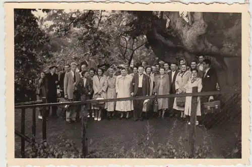 (F24543) Orig. Foto Personengruppe im Freien, Sauerland 1951