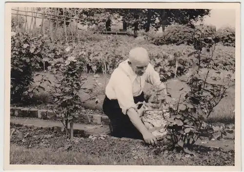 (F24512) Orig. Foto älterer Herr u. Mädchen im Garten 1957