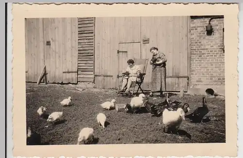 (F24463) Orig. Foto Damen auf dem Geflügelhof in Petschow 1939