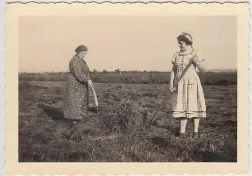 (F24455) Orig. Foto Petschow, Damen bei der Feldernte 1939