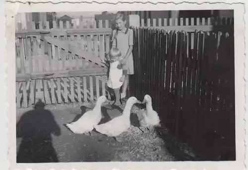 (F24273) Orig. Foto Mädchen und Gänse im Garten 1930er