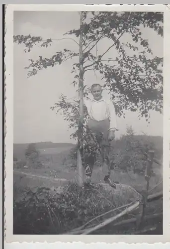 (F24196) Orig. Foto Mann steht an einem kleinen Baum 1930er