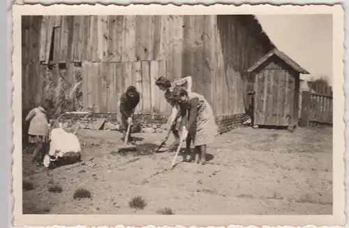 (F24085) Orig. Foto R.A.D.-Frauen arbeiten im Garten 1930er