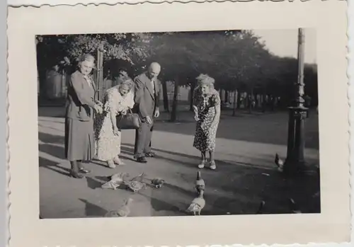 (F24028) Orig. Foto Wiesbaden, Tauben füttern a.d. Luisenplatz 1935