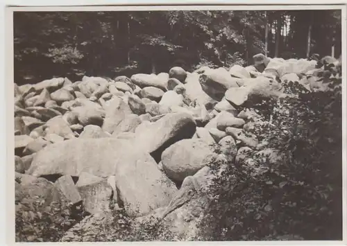 (F23986) Orig. Foto Felsenmeer Auerbach (Bensheim?) 1927