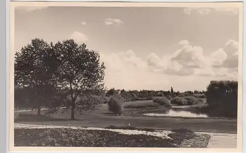 (F23919) Orig. Foto Landschaft in der Nähe von Berlin 1956