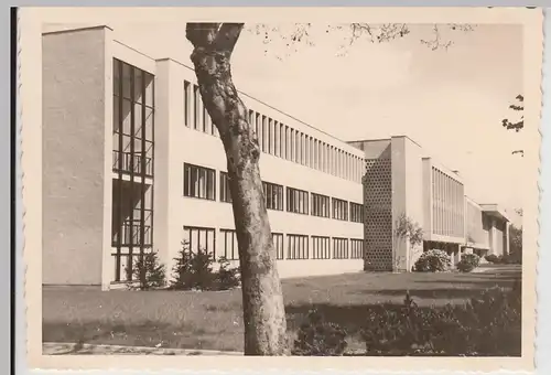 (F23902) Orig. Foto Berlin, Freie Universität 1956