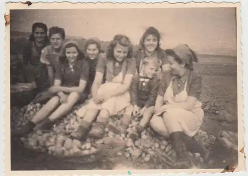 (F23865) Orig. Foto Immingerode, R.A.D.-Damen bei Kartoffelernte 1930er