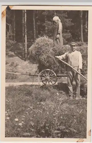 (F23850) Orig. Foto Heuernte in Immingerode 1930er