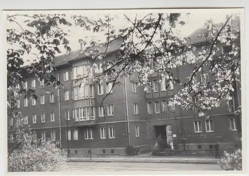(F23797) Orig. Foto Leipzig, Wohnhäuser Arthur-Hoffmann-Straße 1960er