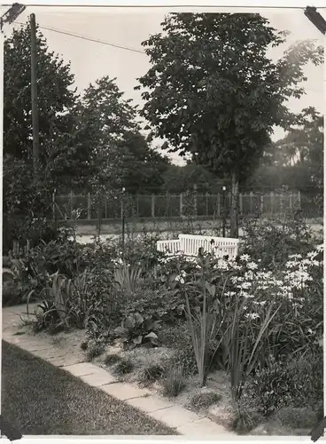 (F23526) Orig. Foto Glienicke / Nordbahn, Garten am Landhaus Rasteck 1932