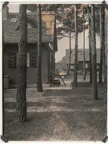 (F23525) Orig. Foto Glienicke / Nordbahn, Partie am Landhaus Rasteck 1932