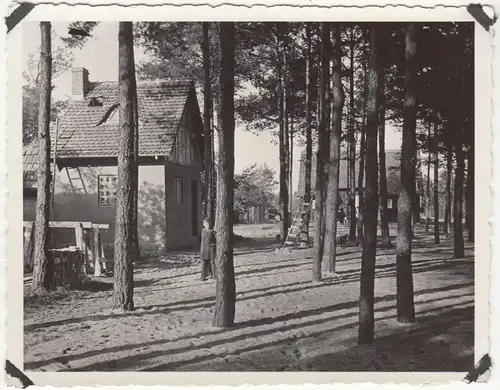 (F23515) Orig. Foto Glienicke, Junge i. Kindelwald beim Landhaus Rasteck 1932