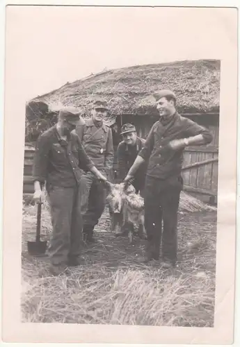 (F23459) Orig. Foto deutsche Soldaten an Scheune mit Schwein 1930/40er