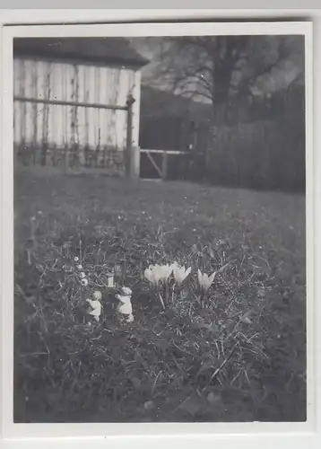 (F23255) Orig. Mini-Foto Blumen u. Osterdeko im Garten 1936